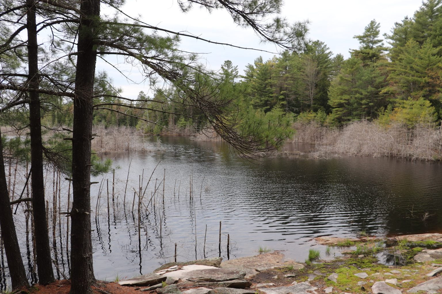 Photo Gallery Township of Addington Highlands